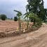  Land for sale in Nong Ya Khao, Nakhon Ratchasima, Nong Ya Khao, Sikhio, Nakhon Ratchasima