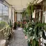 Maison 3 chambre à vendre à Condominium For Sale in Cartago, El Guarco