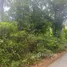 ขายที่ดิน ใน ลิปะน้อย, สุราษฎร์ธานี, ลิปะน้อย