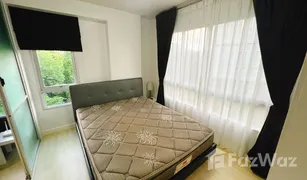 1 Schlafzimmer Wohnung zu verkaufen in Kathu, Phuket D Condo Kathu