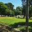  Terreno (Parcela) en venta en Alajuela, San Mateo, Alajuela
