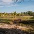  Terreno (Parcela) en venta en Chiriquí, Boca Chica, San Lorenzo, Chiriquí