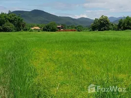  Terrain for sale in Nong Yaeng, San Sai, Nong Yaeng