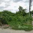  Land for sale in Bang Khae Bangkok, Lak Song, Bang Khae, Bangkok