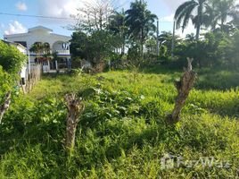  Land for sale in the Dominican Republic, Cabrera, Maria Trinidad Sanchez, Dominican Republic