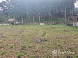  Terreno (Parcela) en venta en Sakhu, Thalang, Sakhu