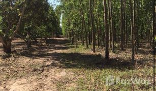 N/A Grundstück zu verkaufen in Kaeng Dinso, Prachin Buri 