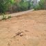  Land for sale in Thailand, Phichai, Mueang Lampang, Lampang, Thailand