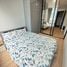1 Bedroom Condo for rent at Skyrise Avenue Sukhumvit 64, Bang Chak, Phra Khanong, Bangkok, Thailand