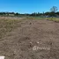  Grundstück zu verkaufen im Alajuela, San Ramon, Alajuela