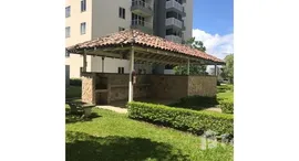 Apartment For Sale in San Rafael中可用单位