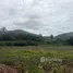  Grundstück zu verkaufen in Thap Tai, Hua Hin, Thap Tai