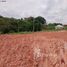  Land for sale at Engordadouro, Pesquisar