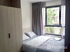 Studio Wohnung zu vermieten im Dcondo Reef Phuket, Kathu, Kathu