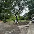  Terreno (Parcela) en venta en Muntinlupa City, Metro Manila, Muntinlupa City, Southern District, Metro Manila