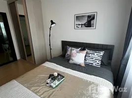 คอนโด 1 ห้องนอน ให้เช่า ในโครงการ ชีวาทัย ฮอลล์มาร์ค ลาดพร้าว - โชคชัย 4 (เฟส 2), สะพานสอง, วังทองหลาง