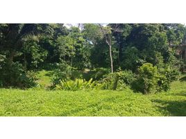  Land for sale at Manuel Antonio, Aguirre