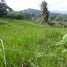  Terreno (Parcela) en venta en Pichincha, San Miguel De Los Bancos, San Miguel de los Bancos, Pichincha