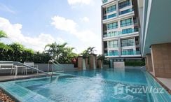 Photos 1 of the Communal Pool at The Shine Condominium