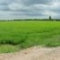  Land for sale in Nakhon Pathom, Bang Pla, Bang Len, Nakhon Pathom