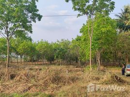  토지을(를) Nong Bua Lam Phu에서 판매합니다., Na Mafueang, Mueang Nong Bua Lam Phu, Nong Bua Lam Phu