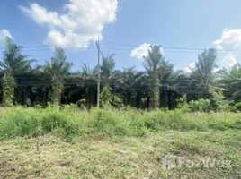  Land for sale in Prachuap Khiri Khan, Sai Thong, Bang Saphan Noi, Prachuap Khiri Khan