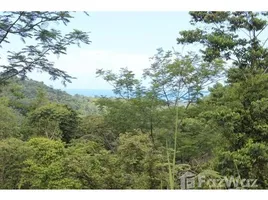  Земельный участок for sale in Puntarenas, Osa, Puntarenas