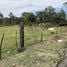  Terrain for sale in Limon, Siquirres, Limon