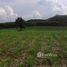  Land for sale in Wang Saphung, Loei, Si Songkhram, Wang Saphung