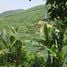  Terrain for sale in Da Nang, Hoa Lien, Hoa Vang, Da Nang