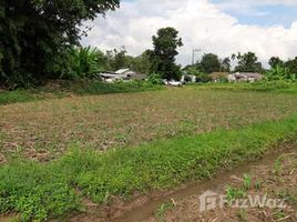  Terreno (Parcela) en venta en Chiang Rai, Mae Rai, Mae Chan, Chiang Rai