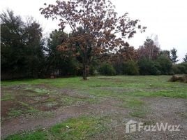  Terreno (Parcela) en venta en Colina, Colina