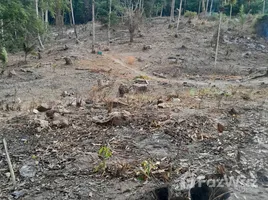 ขายที่ดิน ใน แม่น้ำ, สุราษฎร์ธานี, แม่น้ำ