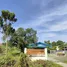 3 Schlafzimmer Haus zu verkaufen in Si Mahapho, Nakhon Pathom, Si Mahapho, Nakhon Chai Si, Nakhon Pathom, Thailand