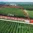 Земельный участок for sale in Bang But, Районг, Bang But