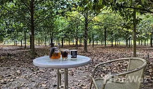 N/A Land for sale in Wang Saem, Chanthaburi 