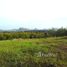  Land for sale in Thailand, Na Din Dam, Mueang Loei, Loei, Thailand