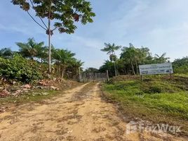  Terreno for sale in Amazonas, Rio Preto da Eva, Amazonas