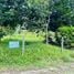  Terreno (Parcela) en venta en Costa Rica, Pococi, Limón, Costa Rica