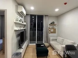คอนโด 2 ห้องนอน ให้เช่า ในโครงการ ชีวาทัย เรสซิเดนซ์ ทองหล่อ, คลองตันเหนือ, วัฒนา