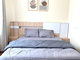 ทาวน์เฮ้าส์ 3 ห้องนอน ให้เช่า ในโครงการ โกลเด้น ทาวน์ เชียงใหม่-กาดรวมโชค , ฟ้าฮ่าม