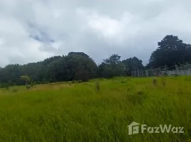  Grundstück zu verkaufen in San Isidro, Heredia, San Isidro