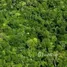  Grundstück zu verkaufen in Autazes, Amazonas, Autazes