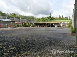 N/A Land for sale in Si Sunthon, Phuket 12.5 Rai of Land near Heroines Monument Thalang with Buildings
