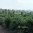  Land for sale in Surat Thani, Bo Phut, Koh Samui, Surat Thani