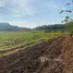 Land for sale in Khlong Muang, Nakhon Ratchasima, Khlong Muang, Pak Chong, Nakhon Ratchasima