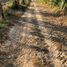  Grundstück zu verkaufen in Trakan Phuet Phon, Ubon Ratchathani, Na Samai, Trakan Phuet Phon, Ubon Ratchathani