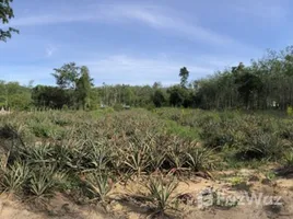  Land for sale in Phuket, Thep Krasattri, Thalang, Phuket