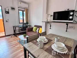 1 Bedroom House for rent in Kamala, Kathu, Kamala