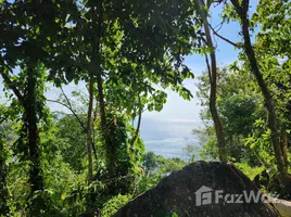  Grundstück zu verkaufen in Kathu, Phuket, Kamala